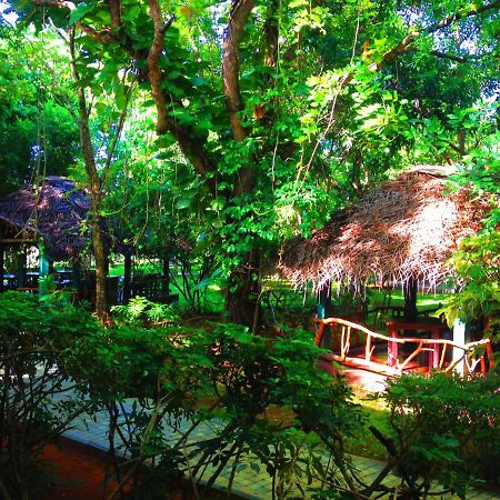 Pelwehera Village Resort Dambulla Exterior photo