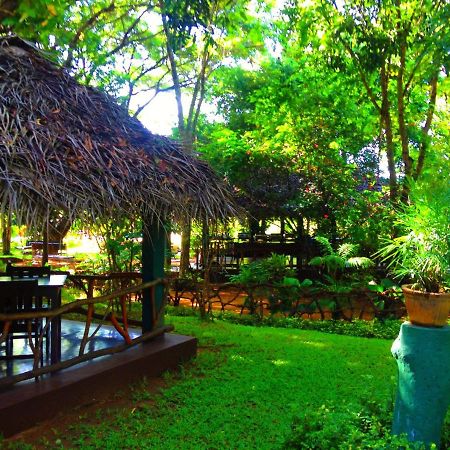 Pelwehera Village Resort Dambulla Exterior photo