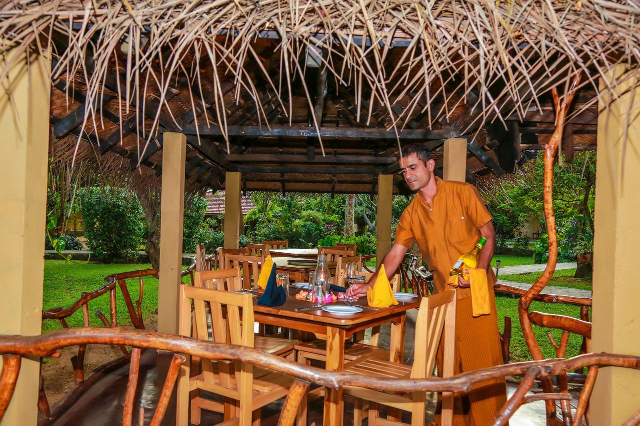 Pelwehera Village Resort Dambulla Exterior photo