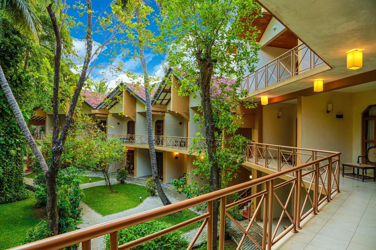 Pelwehera Village Resort Dambulla Exterior photo