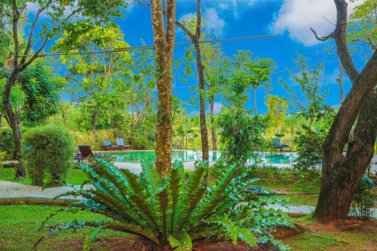 Pelwehera Village Resort Dambulla Exterior photo