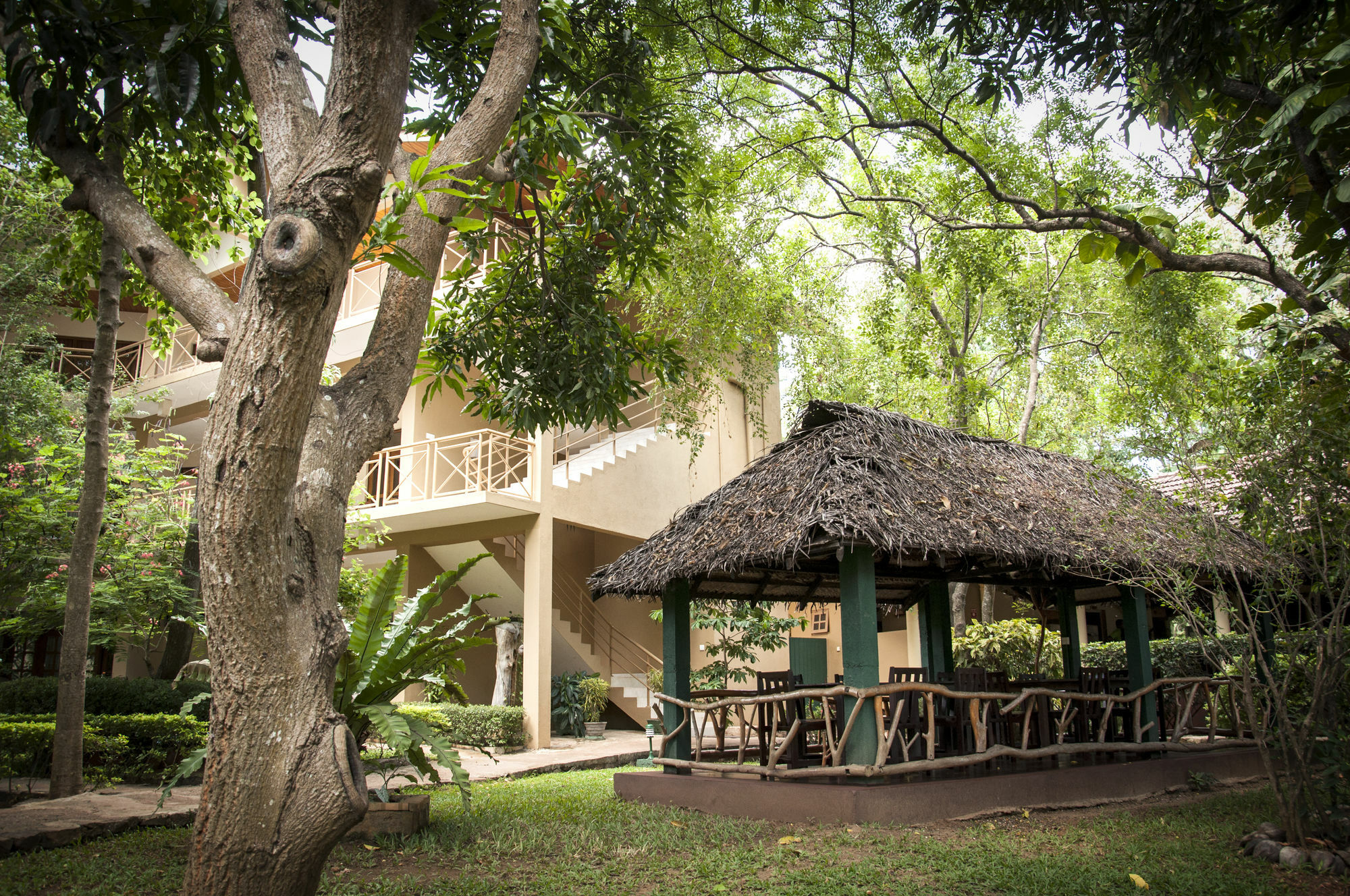 Pelwehera Village Resort Dambulla Exterior photo