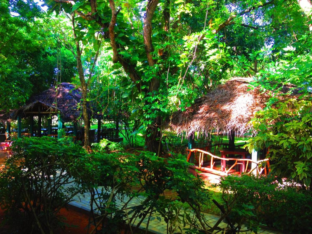 Pelwehera Village Resort Dambulla Exterior photo