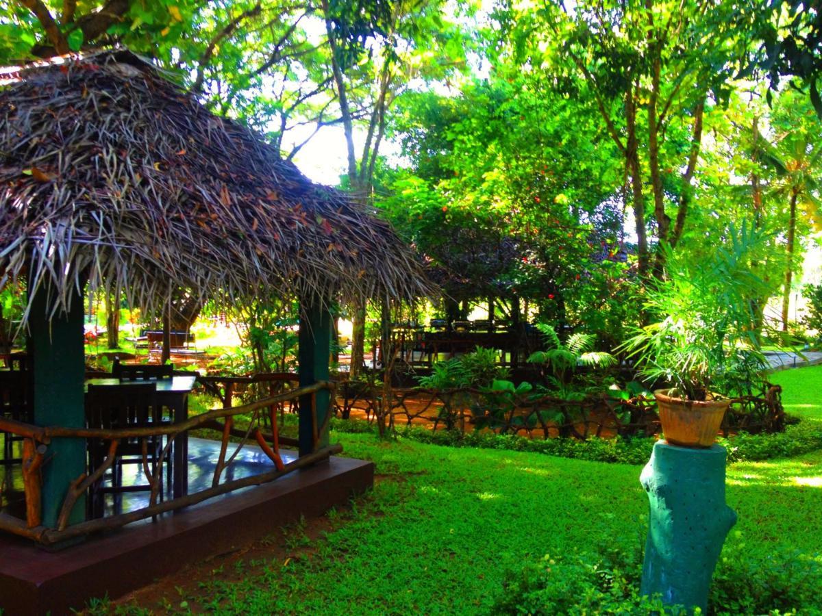 Pelwehera Village Resort Dambulla Exterior photo