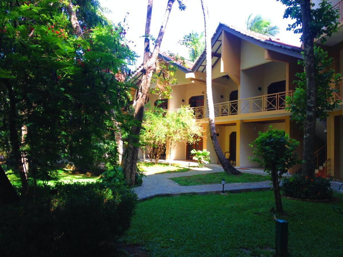 Pelwehera Village Resort Dambulla Exterior photo